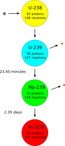 An image of U-238 becoming Pu-239 via neutron absorption and two beta-decays.